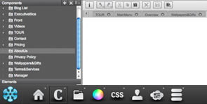 Visual Design